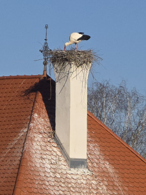 Fasanerie Hanau